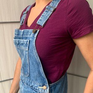 Rollas Denim Overalls